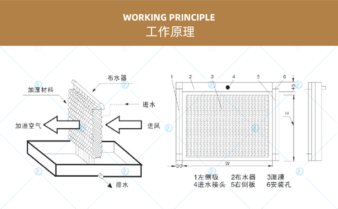 詳情頁2_畫板 1 副本 18.png